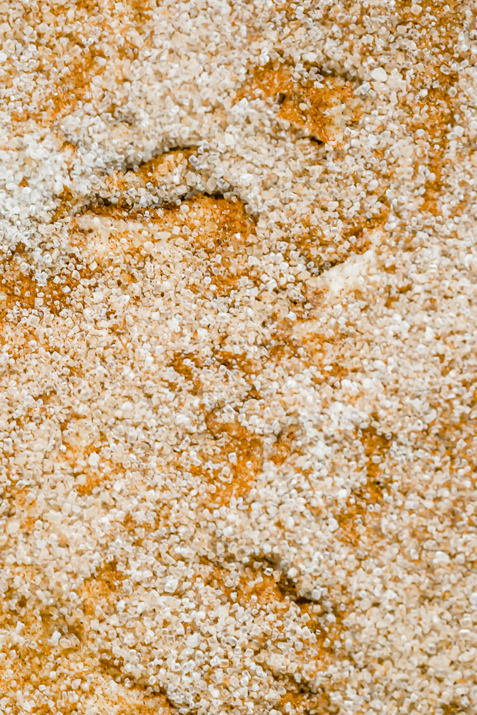 Gluten-Free Bourbon Snickerdoodle Blondies